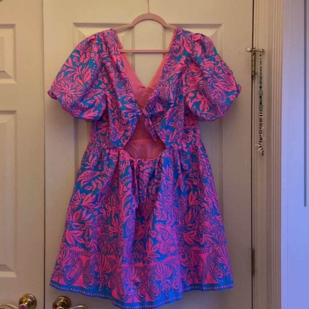 Lilly Pulitzer Suzie Dress - Picture 2 of 3